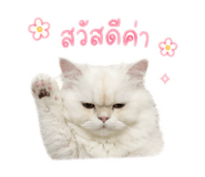 841131324