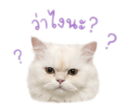 841131327