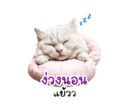 841131845