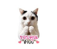 841131846
