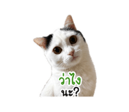 841131852