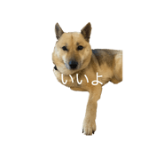 841131970