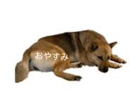 841131974