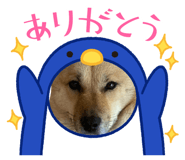 841131975