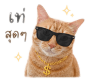 841132158