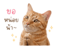 841132160