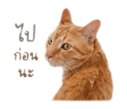841132165