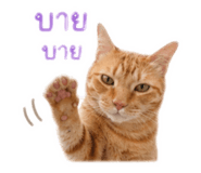 841132166