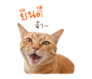 841132167