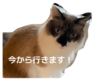 841132236