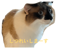 841132237