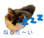 841132240
