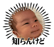 841132554