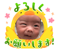 841132558