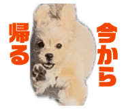841132749