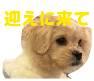 841132751