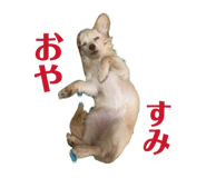 841132770