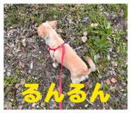 841132773
