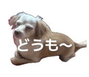 841132775