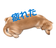 841132776