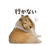 841132866