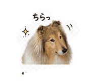 841132875