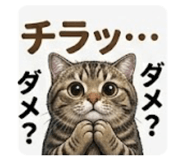 841132885