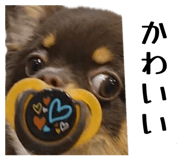841132937