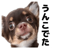 841132940