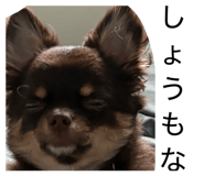 841132942