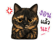 841133104
