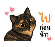 841133109