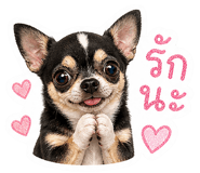 841133634