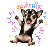 841133658