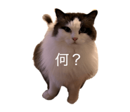 841134241