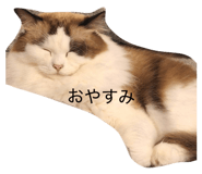 841134245