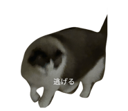 841134246