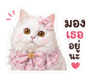 841138492