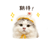 841139828