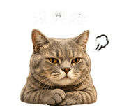 841139981