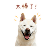 841140408