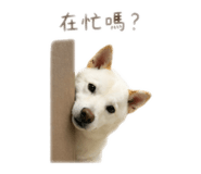 841140423
