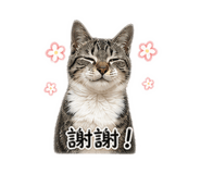 841140989