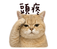 841141186