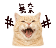 841141191