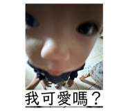 841141455