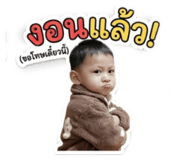 841142323