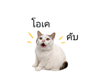 841142347