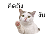 841142349