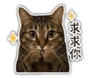 841142541